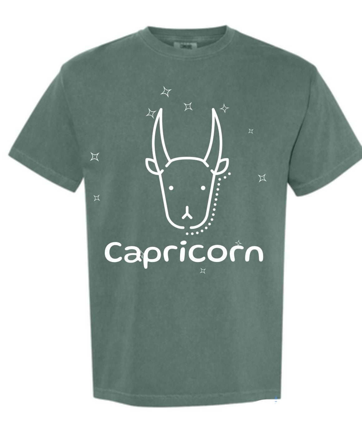 Capricorn Zodiac T-Shirt
