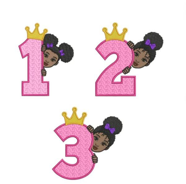 Custom kids Embroidered Birthday shirt /Princess Themed/Girls Birthday Shirt/Personalized Name and Age Number